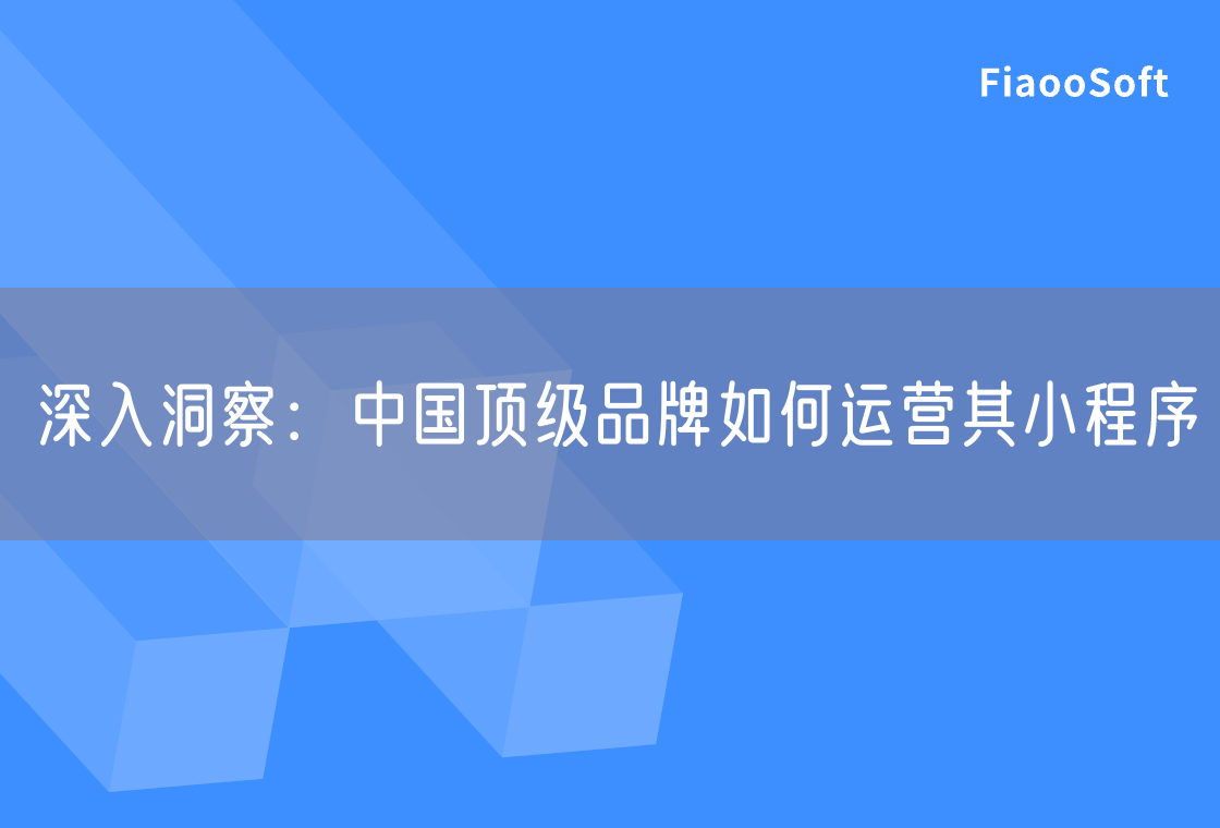 深入洞察：中国顶级品牌如何运营其小程序
