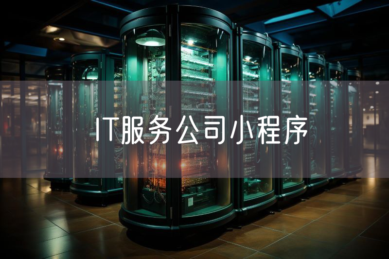 IT服务公司小程序