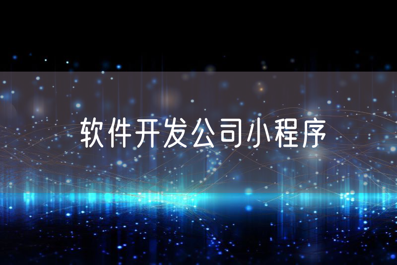 软件开发公司小程序